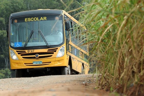 escolar.jpg