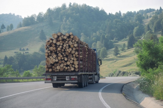 transporte de madeiras (1).jpg