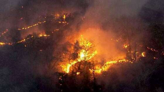 INCÊNDIO-NO-PANTANAL.jpg