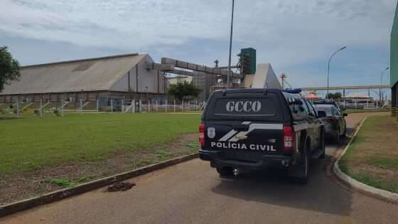 GCCO graos.jpeg