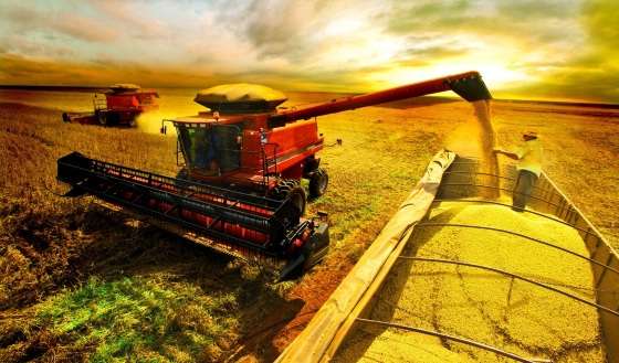 produtor rural.jpg