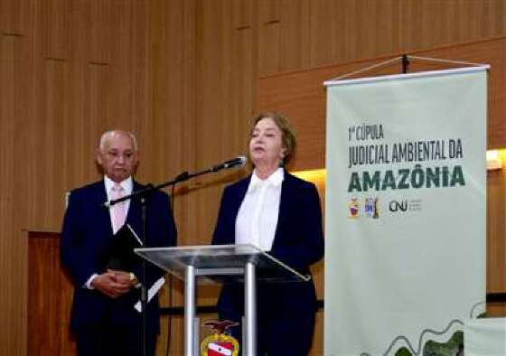 07 - cupula da amazonia_ Clarice.jpg