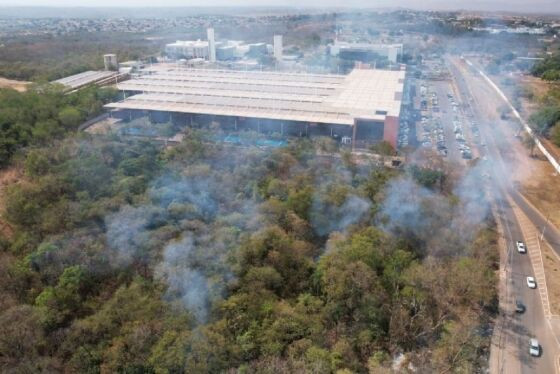 queimada forum de cuiaba.jpg