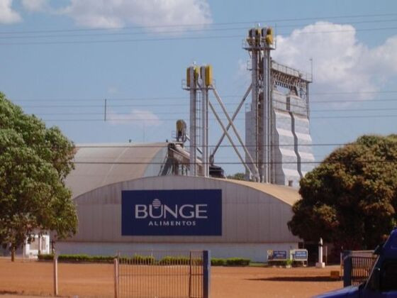 bunge.jpg