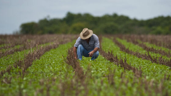 agronomo.jpg