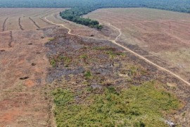 Pecuarista pagará R$ 514 mil de indenização após desmatamento ilegal