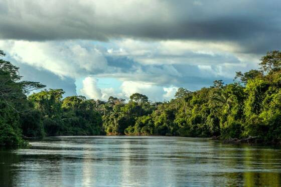 parque estadual cristalino II.jpg