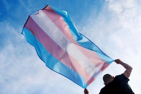visibilidade trans (1).jpeg
