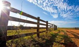 Justiça suspende embargos lavrados pelo Ibama contra propriedade rural 