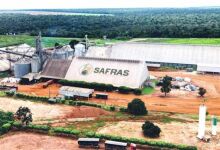 Juíza nega antecipar stay period e manda Grupo Safras apresentar RJ em 15 dias