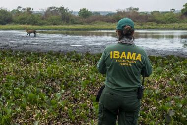 Ibama pode agir no combate a dano ambiental se estados forem omissos