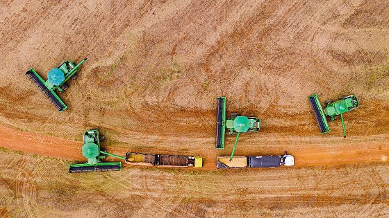 Estado define regra para incentivo fiscal à soja a granel em 2026