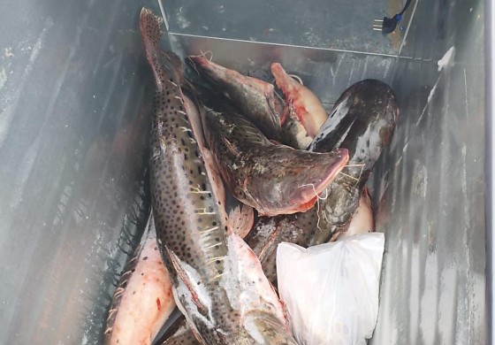 operaçao redeiros.jpg