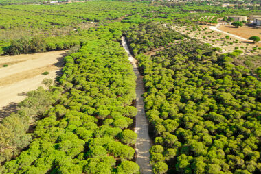 STJ impede usucapião de imóvel situado em área de preservação permanente