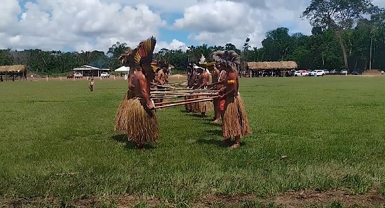 indigenas terenas.jpeg