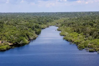 STF determina novas medidas para reforçar proteção ambiental 