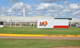 MBRF fecha acordo para afastar gestantes de áreas com excesso de ruído 