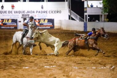 STF valida vaquejada desde que bem-estar animal seja protegido   