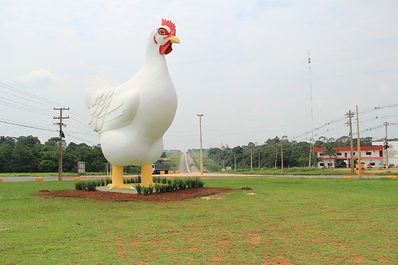 rotatoria da galinha.jpg